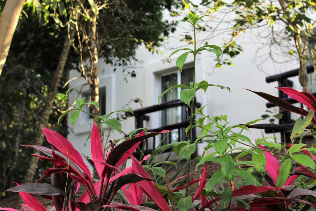Lunah Xcacel Suites Chemuyil Bagian luar foto