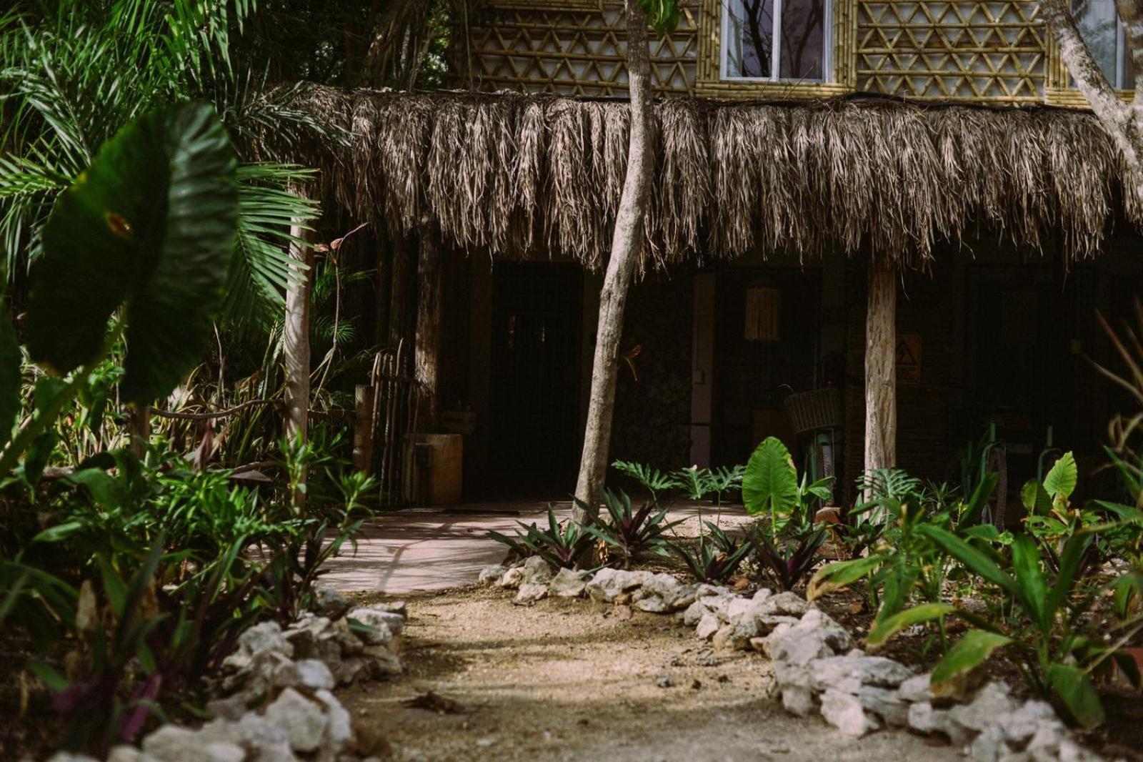 Lunah Xcacel Suites Chemuyil Bagian luar foto
