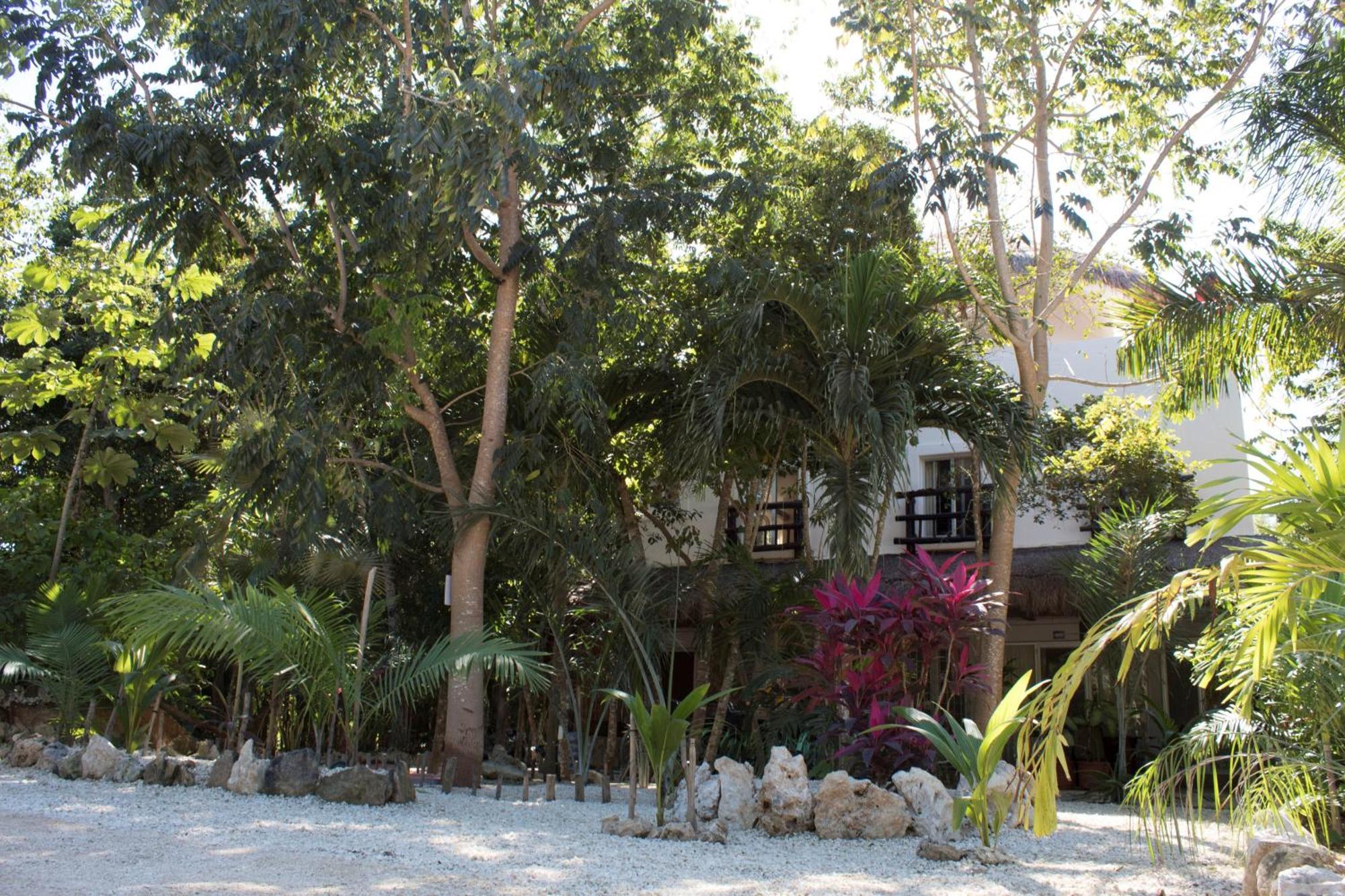 Lunah Xcacel Suites Chemuyil Bagian luar foto